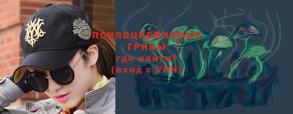 дживик Баксан