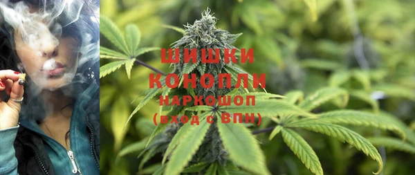 шишки Балахна