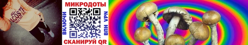 купить наркотики цена  Коркино  Галлюциногенные грибы Magic Shrooms 