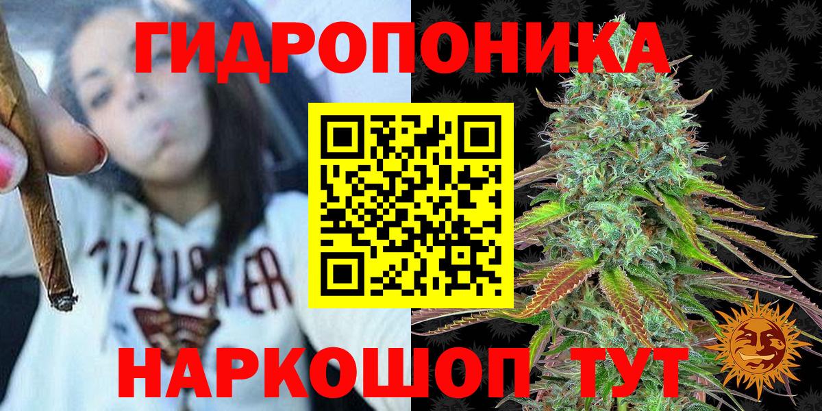 Шишки марихуана сатива  Конопля конопля  Вход с VPN  Коркино 
